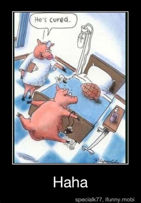 Thank you, jonathan lockwood huie. Funny Pig Quotes. QuotesGram