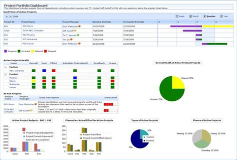 Overview Of Project Portfolio Dashboard Bamboo Solutions