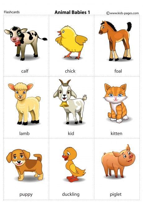 We have a variety of kids farm crafts ranging from a barn craft and farmer craft to all the favorite farm animals. Animal Babies 1 flashcard | Animal flashcards, Flashcards ...