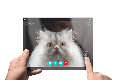 The attorney had accidentally joined a video conference of a civil forfeiture court hearing while using a zoom filter that made him appear like a fluffy white i'm not a cat, presidio county attorney rod ponton said. Lawyer joins Zoom court hearing stuck with cat filter on ...