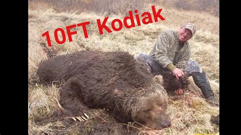 Giant Kodiak Brown Bear Youtube