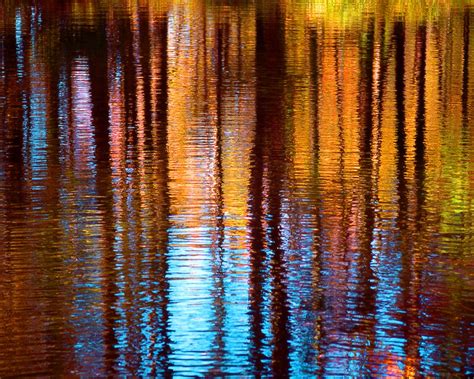 Colorful Tree Reflection In Water Fine Art Photography Wall
