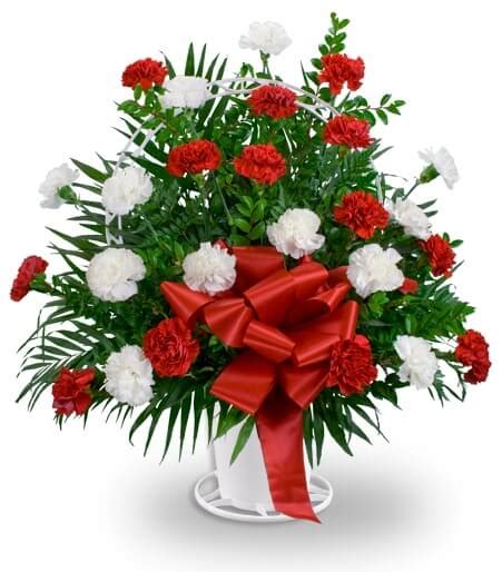 Maybe you would like to learn more about one of these? Funeral Flowers From Great Grandchildren - Blogs