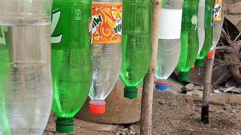Plastic Bottle Drip Water Irrigation System Very Simple