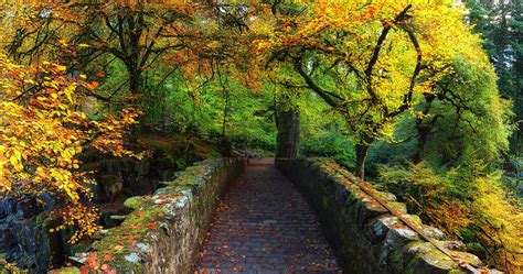 Autumn Forest Path Wallpapers Wallpaper Cave