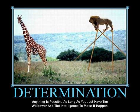 Determination Giardia Very Demotivational Survival Motivational Images Funny Posters