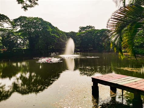 Akhir Pekan di Kebun Bibit Wonorejo Surabaya - Suara Surabaya