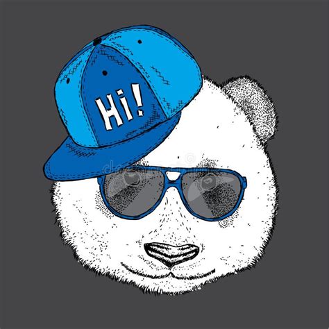 Beautiful Panda With Glasses And A Cap Vector Illustration Stock