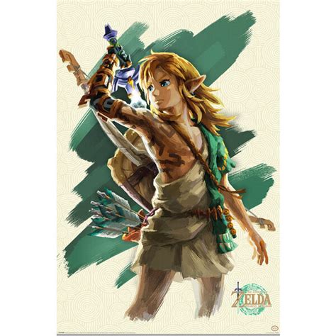 The Legend Of Zelda Tears Of The Kingdom Link Maxi Poster Hole In The Wall Hole In The Wall