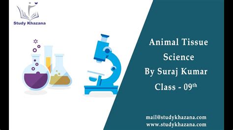 (acc nv) types of meristematic tissue depending on their location meristems ppt on scanner class. Animal Tissue - Class 9th | Science | Video Lecture ...