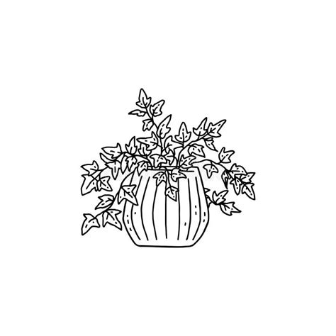 Ivy Houseplant Indoor Potted Plant Vector Outline Black And White