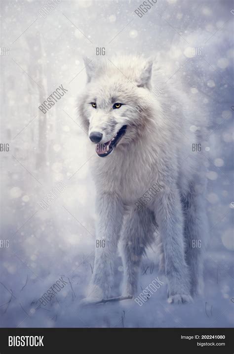 White Wolf Forest Image And Photo Free Trial Bigstock