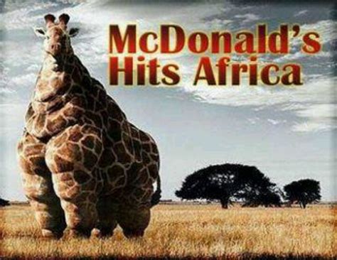 Obese Giraffes Im Still Sure Theres Nothing Wrong With Mcdonalds
