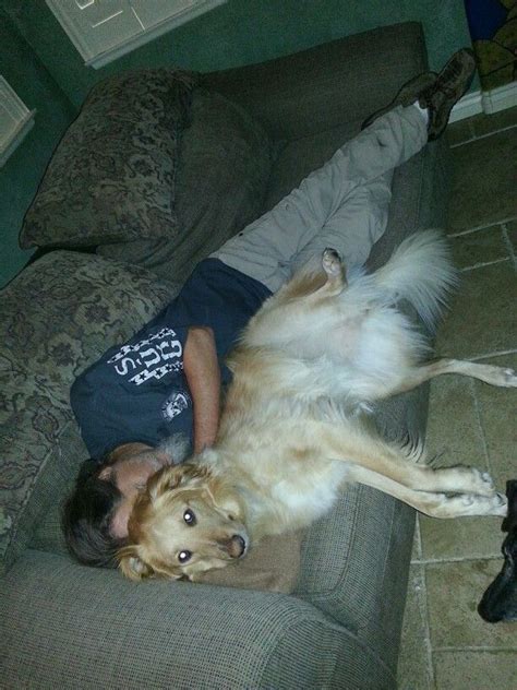 Bella Cuddling With Dad On The Couch Cuddling Pup Animals