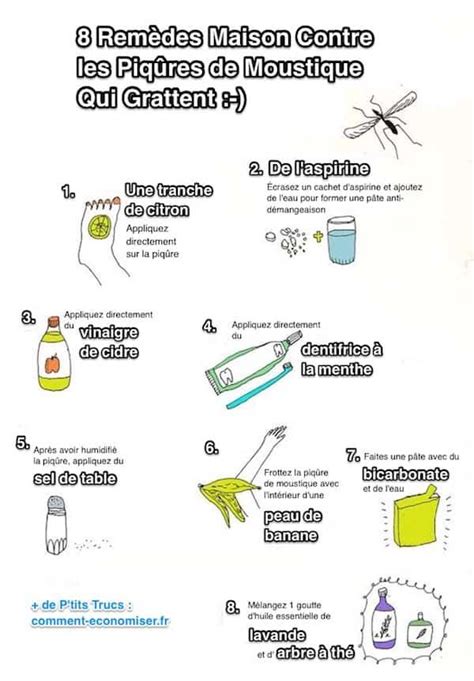 8 Remèdes Maison Contre les Piqûres de Moustiques Qui GRATTENT Hygiene