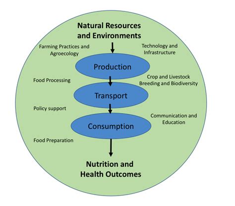Food Systems Environments Production Distribution And Household