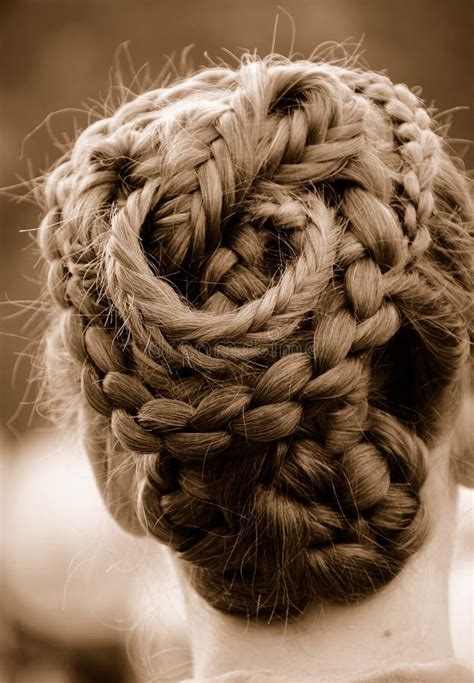Intricate Braided Hair Royalty Free Stock Photography Image 6714097