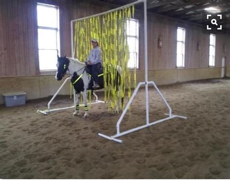 Pin By Carrie Lynne Rounds On Horse Obstacle Course Horse Training