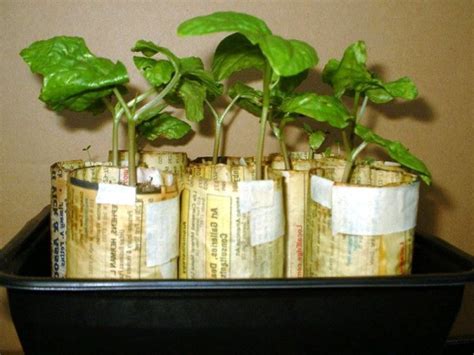 Recycled Seedling Container Ideas Thriftyfun