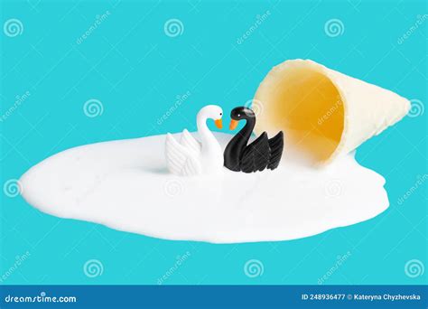 Pair Of Black And White Swans In Melted Ice Cream Stock Image Image
