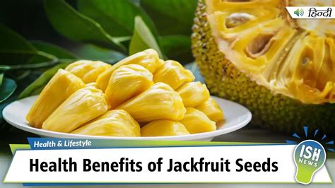 Part 1 Health Benefits Of Jackfruit Seeds Youtube