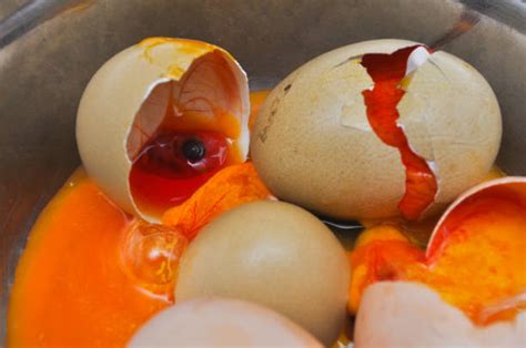 Royalty Free Rotten Eggs Pictures Images And Stock Photos Istock