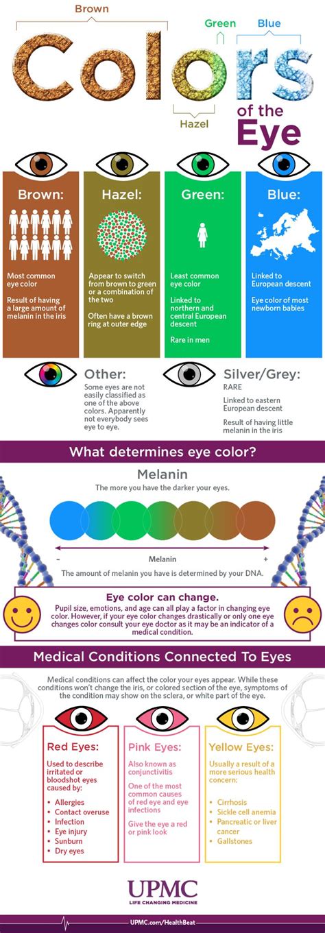 What Does Your Eye Color Mean Eye Color Eye Color Chart