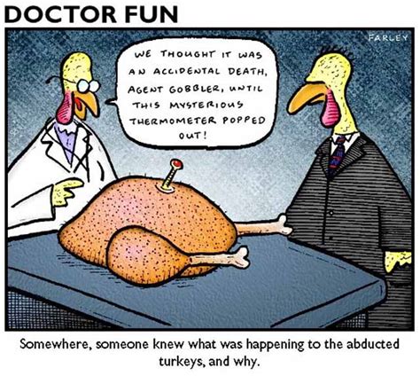 have fun this thanksgiving 16 funny pics