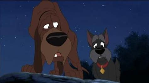 Lady And The Tramp Ii Scamps Adventure Video 2001 Imdb