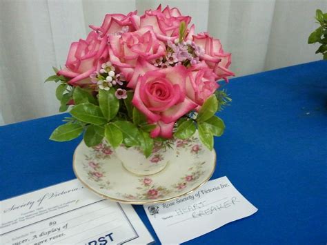Heartbreaker Rose Roses In A Teacup Victorian Rose Societ Flickr