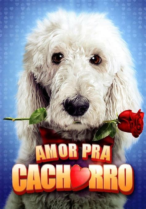 Amor Pra Cachorro Filme Veja Onde Assistir