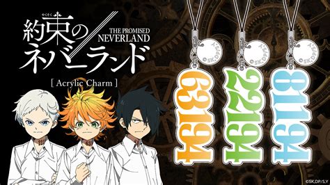 The Id Numbers Of The Three The Promised Neverland Protagonists Are Now