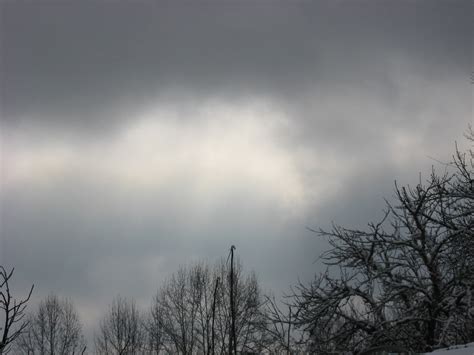 Fotos Gratis árbol Naturaleza Nieve Invierno Nube Cielo Luz De