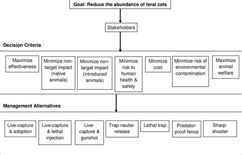 1 Decision Hierarchy For Ranking Seven Feral Cat Management Techniques
