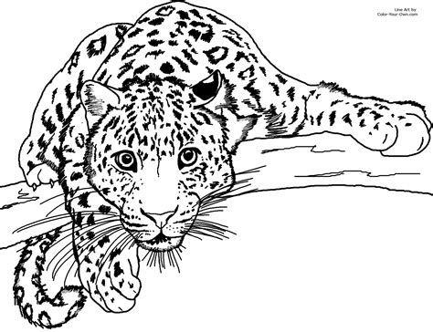 Select from 35478 printable crafts of cartoons, nature, animals, bible and many more. Lurking Leopard Coloring Page