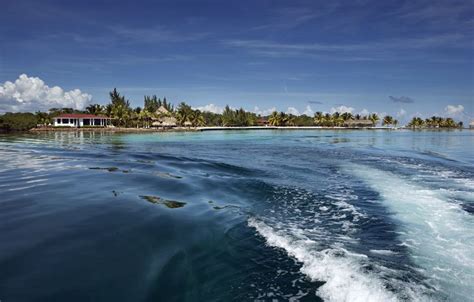 Rent Your Own Island Royal Belize Private Island Belize Travel Dreams