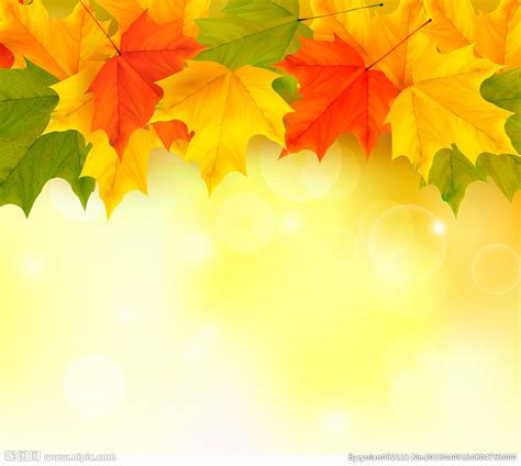 Fall Leaves Powerpoint Background