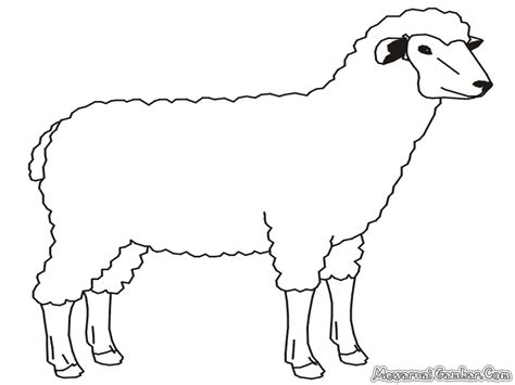 Mewarnai Gambar Untuk Domba Cara Mudah Melukis Domba Dengan Warna Yang
