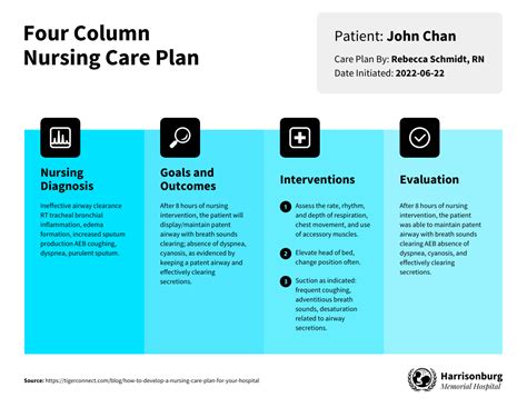 Nursing Care Plan Examples For Hot Sex Picture