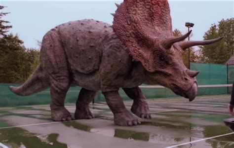 Triceratops Facts For Kids The Last Dinosaurs