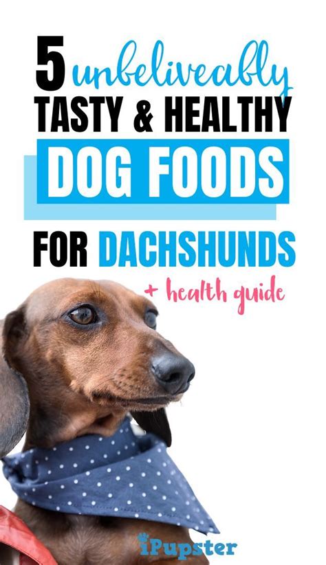 Providing the best kitten food is a great way to give your kitty the bulk of the vitamins and minerals they need. Best Dog Food For Dachshunds for 2020: Top 5 Vet ...