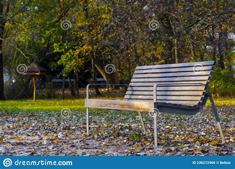 Benches In The Park Of Szeged In Autumn Stock Photo Image Of Relaxing
