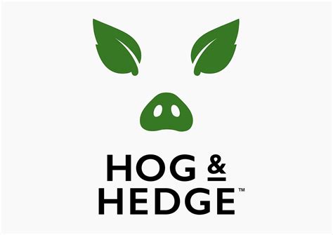 Hog And Hedge · Bandb Studio · Creative And Effective Design Graphic