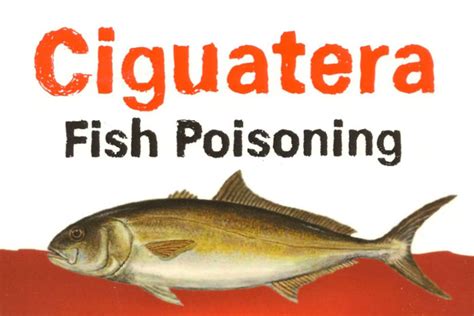 No New Reported Cases Of Ciguatera Poisoning Caribbean