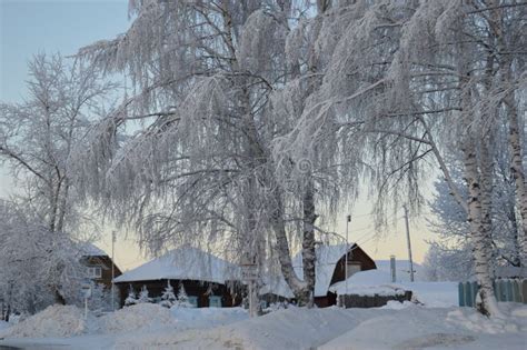 Russian Village In The Winter Stock Photo Image Of Forest Frost