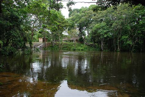 Description of clima en reynosa. Cambio climático depende de impactos en el Amazonas ...