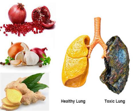You can use it in several ways. Our Lungs Need Cleansing Daily...Eat These 5 Foods To ...