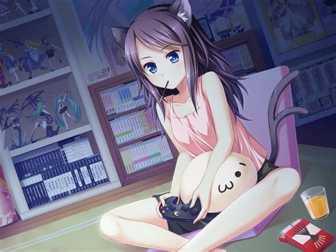 Blue Eyes Xbox Nekomimi Pocky Anime Girls Orange Juice 1500x1125 Wallpaper Animals Cats Hd
