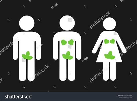 Fig Leaf Covering Genitalia Man Woman Stock Vector Royalty Free