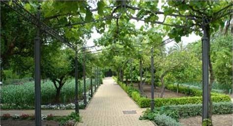 Es el centro de investigación y desarrollo cientifico con énfasis en ecosistemas altoandinos y de páramo. Jardin Botanico de Cordoba - 2020 All You Need to Know ...